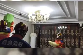 辽宁锦州 蝙蝠闯进居民家，和消防上演它逃他追图片