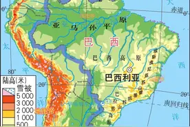 巴西为何强，巴西人结合了黑人黄人白人的优点？图片