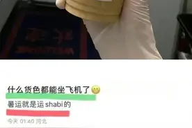 “什么货色都能坐飞机？”春秋航空辱客空姐身份曝光图片