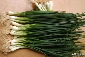 保存香葱，别直接放冰箱，教你3个妙招，放半年也新鲜，随吃随取图片