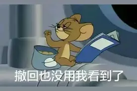 表情包：撤回也没用，我看到了图片