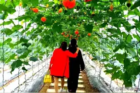 头条收益出新规，这是要放弃普通创作者，而让明星大V大赚特赚图片