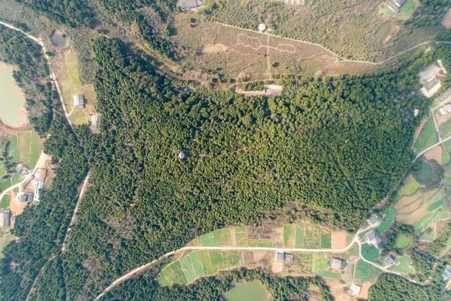 四川省民生研究会新媒体中心-官网