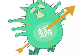 不注意卫生，百万尘螨陪你入睡，教你如何清洁尘螨图片