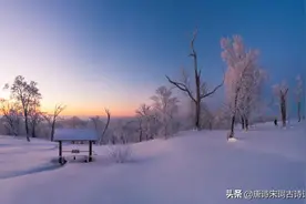 冬天很冷，我一笑而过图片