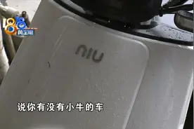 “小龟”感觉还行，“小牛”很是折腾图片