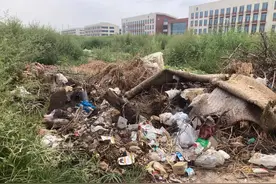 农村人居环境整治，石家庄市藁城区一村庄的这个“垃圾场”为啥迟迟不清理？图片