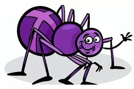 世界最毒蜘蛛，被咬男性会引起持续数小时“生理反应”图片