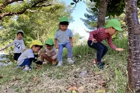 把孩子送进“整天都在玩”的日本幼儿园，这位中国妈妈重新认识“起跑线”图片