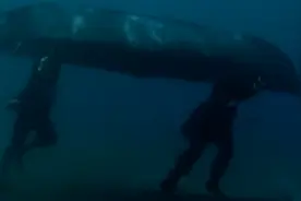 “小船”倒扣就是潜水艇？这就准备海底漫步！| 正经玩图片