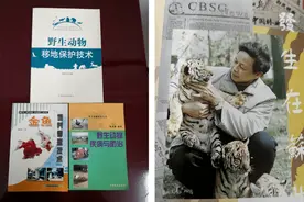 华南虎之父黄恭情：争论照片真假没意义图片