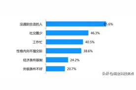 互联网交友研究报告分析：觅伊洞察用户需求，创新社交玩法图片