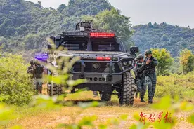山地丛林捕歼演练，看特战队员如何协同制“敌”图片