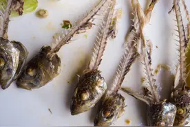 为了吃鱼不被刺卡嗓子，科学家有多努力？图片