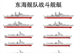 2021东海舰队盘点，没有航母和两攻，13驱17护三大舰队中垫底存在图片