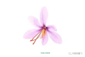 金匮要略学习笔记——16.13～16.15图片