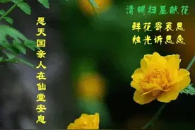 清明节思念亲人的动态图片，祝福语文案图片