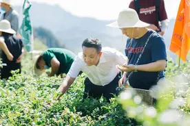 “知青下乡”或将再现？广东打响第一枪!三十万青年下乡返乡兴乡图片