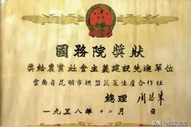 芳华正茂 盘龙如歌 | 景臻昆明最大的蔬菜批发市场图片