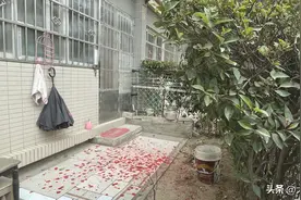 业主到物业反映问题时起争执，被物业经理一拳打断肋骨图片