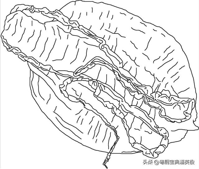 用阿胶代替花胶可以么 2026年阿胶可以替代吗