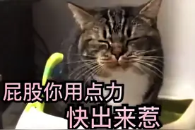 喵生难以逃脱的魔掌——便秘，这2种简单解决方案也太便宜了吧图片