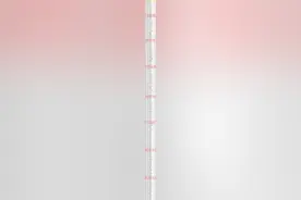 重庆市2021年本科批院校最低位次汇总图片