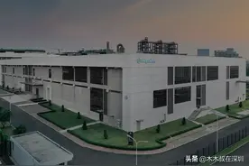 海普瑞：“A+H”能挽回曾经600亿的辉煌吗？下一头“猪”在哪图片