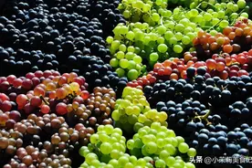 “葡萄4不吃，吃了难安康”，夏天吃葡萄好处多禁忌也多，别乱吃图片