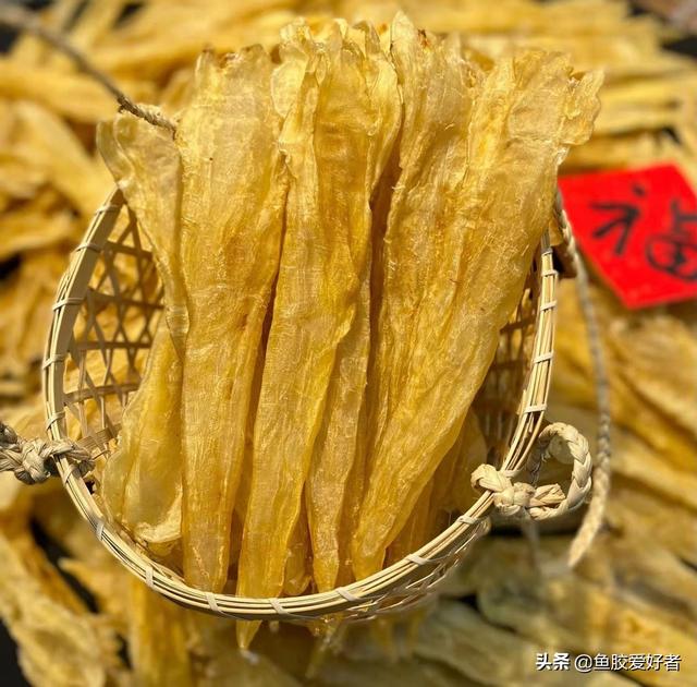 阴阳鱼胶的功效 2026年阴阳鱼胶的功效与其他鱼胶相同吗