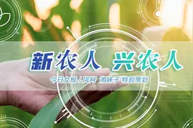 学会计的女大学生回乡，500名留守妇女跟她这样种田图片