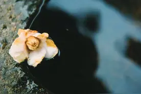 孙膑：一个人要熬过4道坎，才能真正成事图片