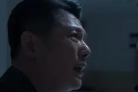 《罚罪》大结局：肖振邦被郑广天灭口，证据被毁，常征孤军奋战图片