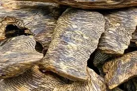 “多伽罗”——奇楠沉香图片