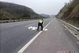 高速突现障碍物怎么办？ 驾驶员应该这样做→图片