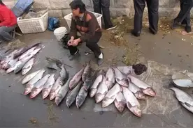 巨鹿农村庙会一览表，看看有你村吗图片