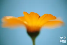 17岁那年，我暗恋的女孩跟我说了一句话，23年后我才明白，那是告白图片