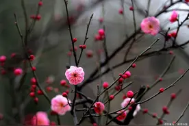十首古诗词，写怦然心动的遇见，金风玉露一相逢，便胜却人间无数图片