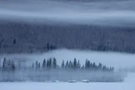 摄影师王永辉“干货”分享：这样设置让EOS R6 Mark II更好用图片