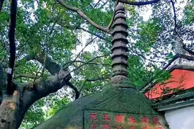 清代名臣八闽翘楚——林则徐传略图片