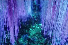 《阿凡达》里的「生物发光树」成真了！这个小镇的赛博路灯不简单图片