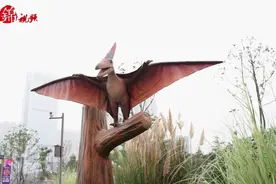 锦视频 | 天府大道南延线“恐龙出没”图片