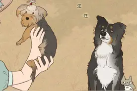 动物和人在一起久了，真的能听懂人话吗？图片