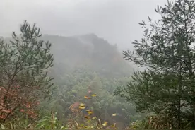 大雾中盘山而过“皖南川藏线”和“徽州天路”图片