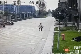 四川恶狗咬伤事件后，白狗拉布拉多犬被发现，监控证明无罪释放！图片