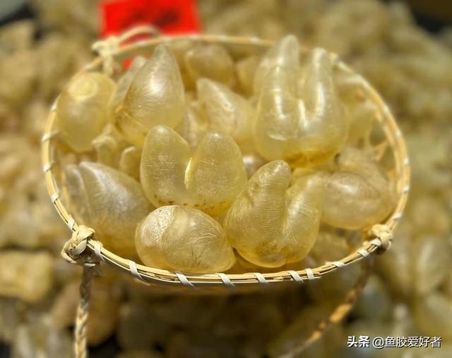 佐罗鱼胶的主要功效 2026年佐罗鱼胶的营养价值