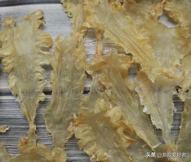 鳕鱼胶好吗 2026年鳕鱼胶好不好