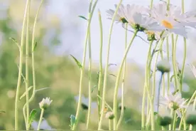 平平淡淡是生活，来来去去是人生图片