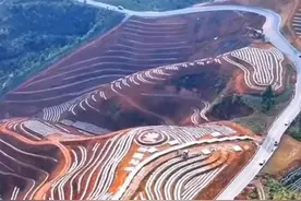 水稻上山，亩产高达788公斤，是谎言还是事实？种田人心里有数图片