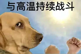 吵架和好必备表情包 ​图片